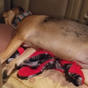 Meet your Posher, Pam